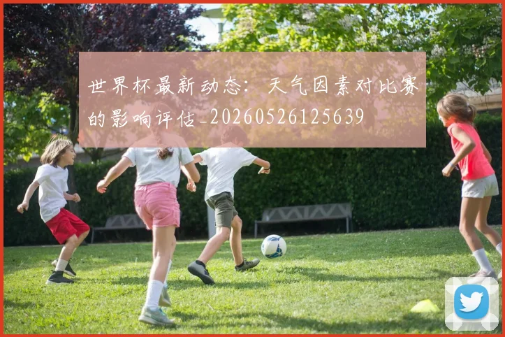 世界杯最新动态:天气因素对比赛的影响评估_20260526125639